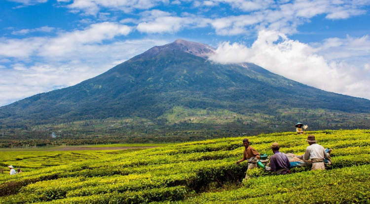 10 Best Tourist Attractions in Kerinci, Indonesia