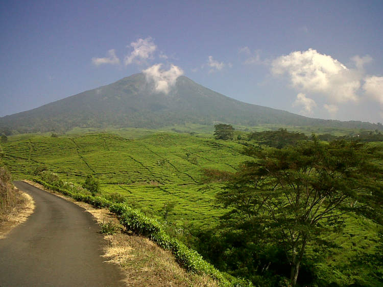 10 Best Tourist Attractions in Pagar Alam, Indonesia