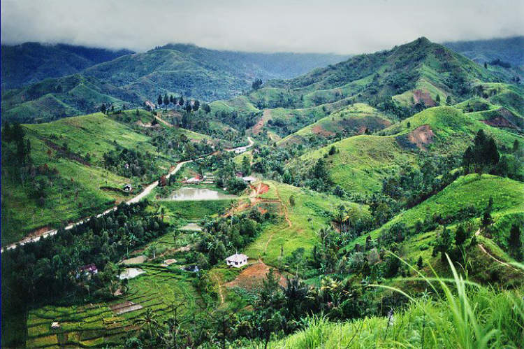 travel bengkulu sungai penuh